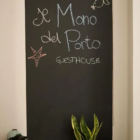 Il Mono Del Porto - * Ancona